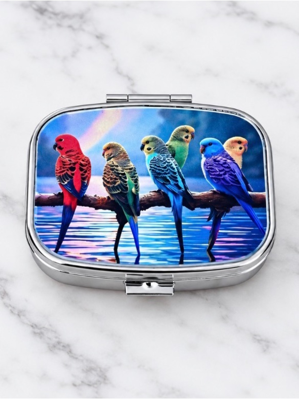 Colorful Parakeet Design Purse Pill Box/Travel Jewelry-Compact W/lLidded Mirror
